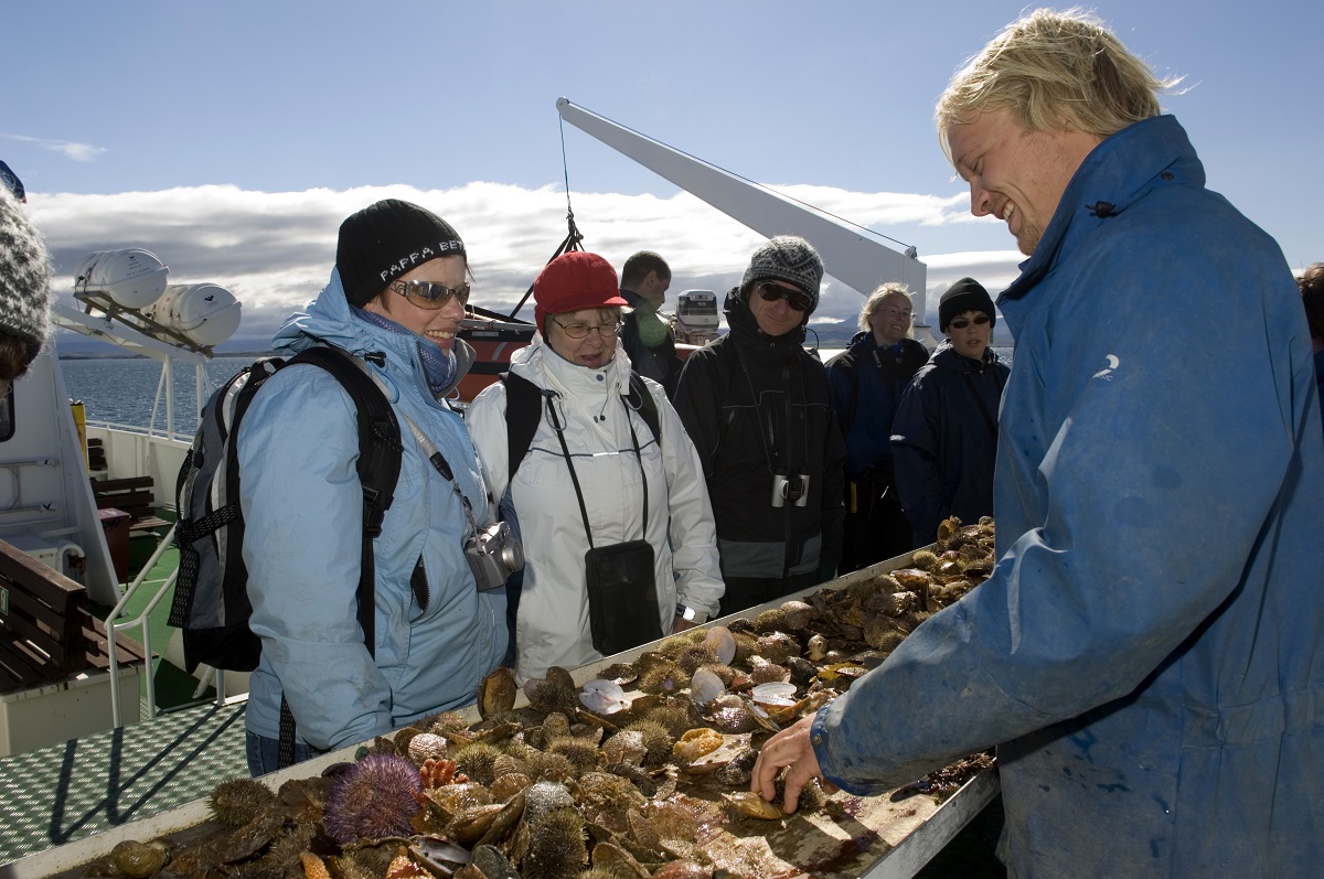 Reizigers kijken naar de gevangen schelpdieren tijdens de boottocht in west IJsland.