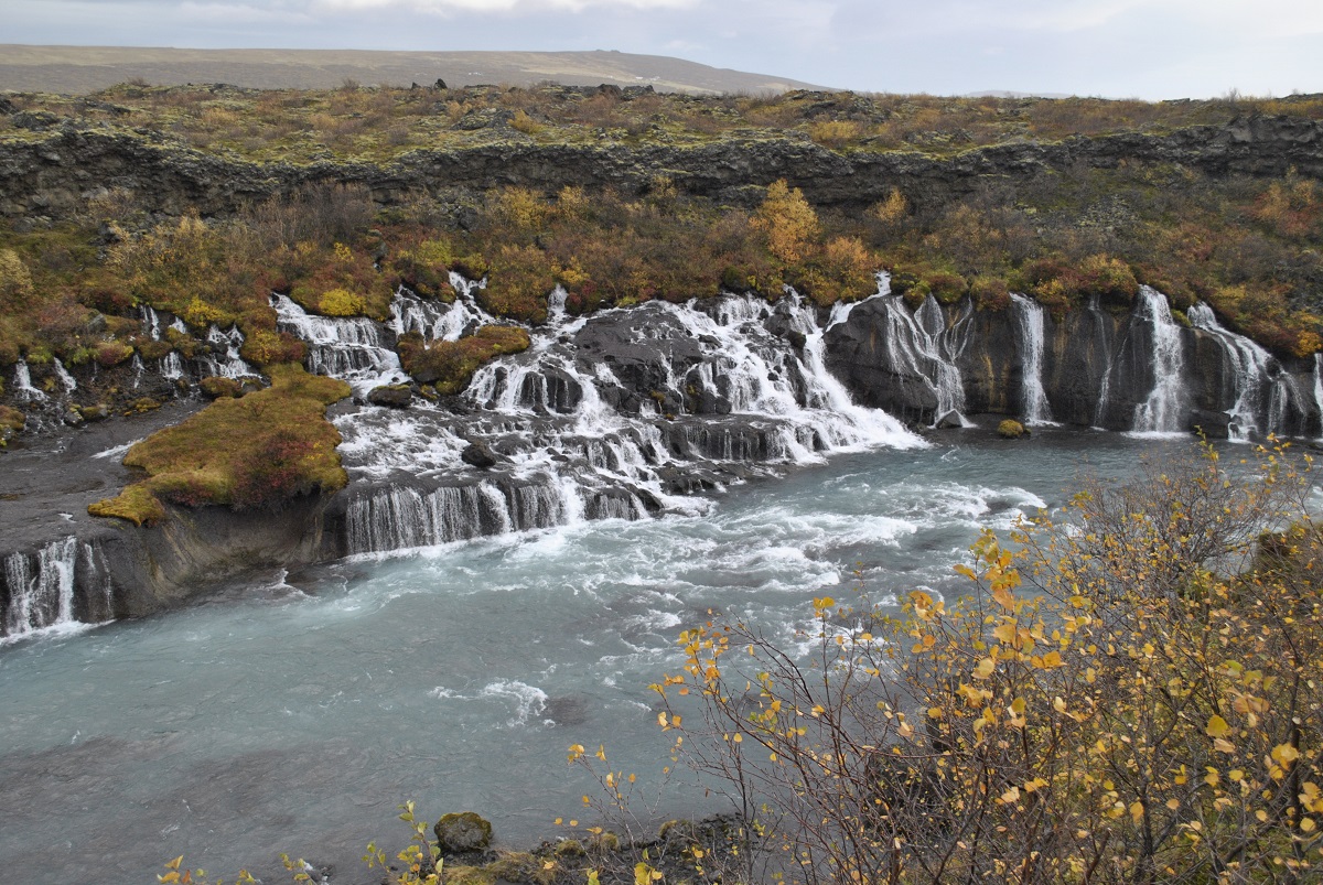 De Hraunfossar waterval in IJsland in de herfst met geel kleurende struiken.