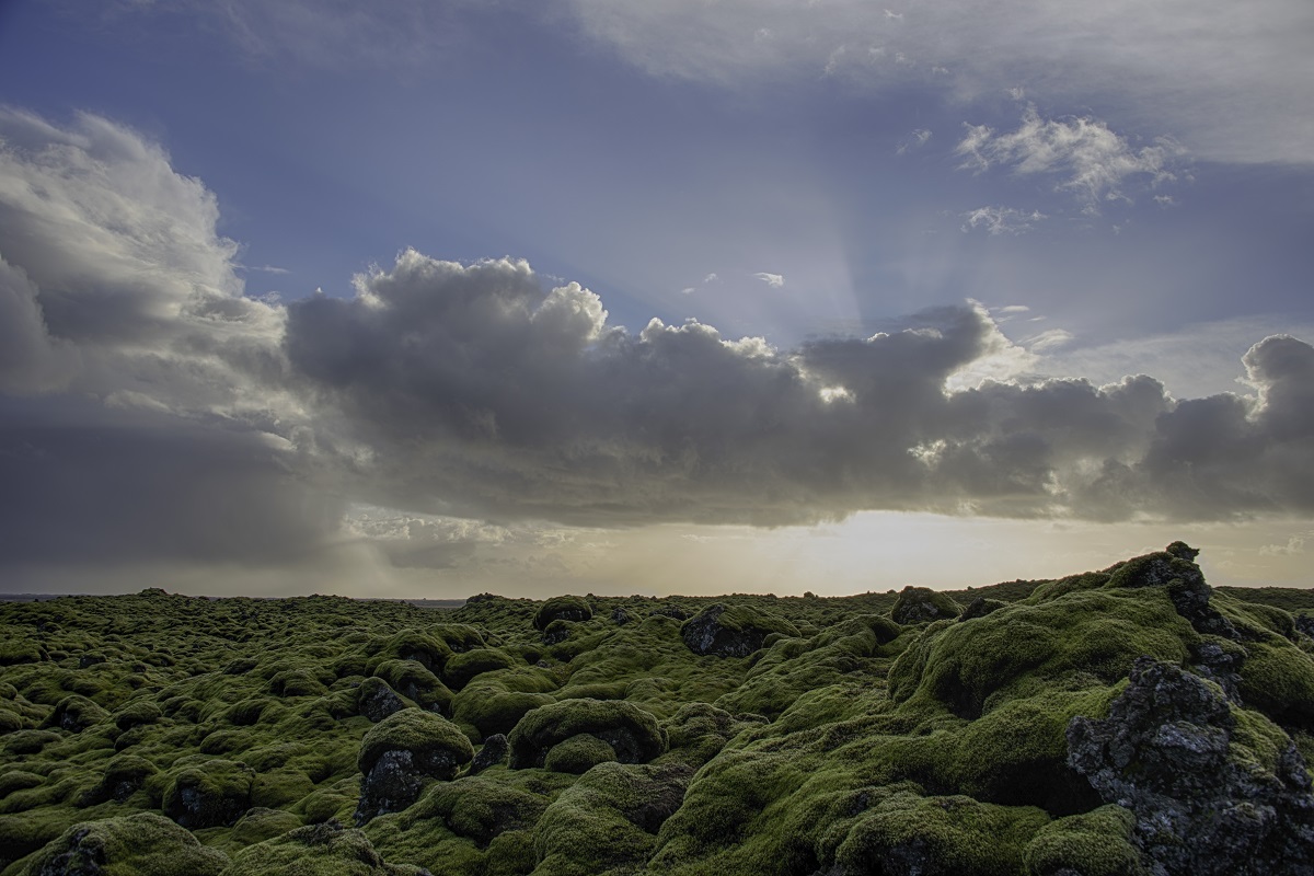 Eindeloze lavavelden bedekt met een laagje mos en daarboven een mooie wolkenlucht.