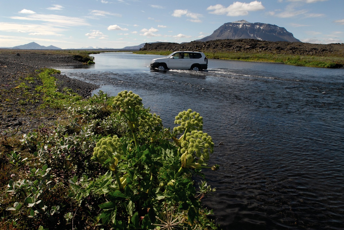 Een 4x4 auto doorkruist een rivier in de buurt van de Herdubreid op de route naar Askja in de hooglanden in Noord-IJsland.