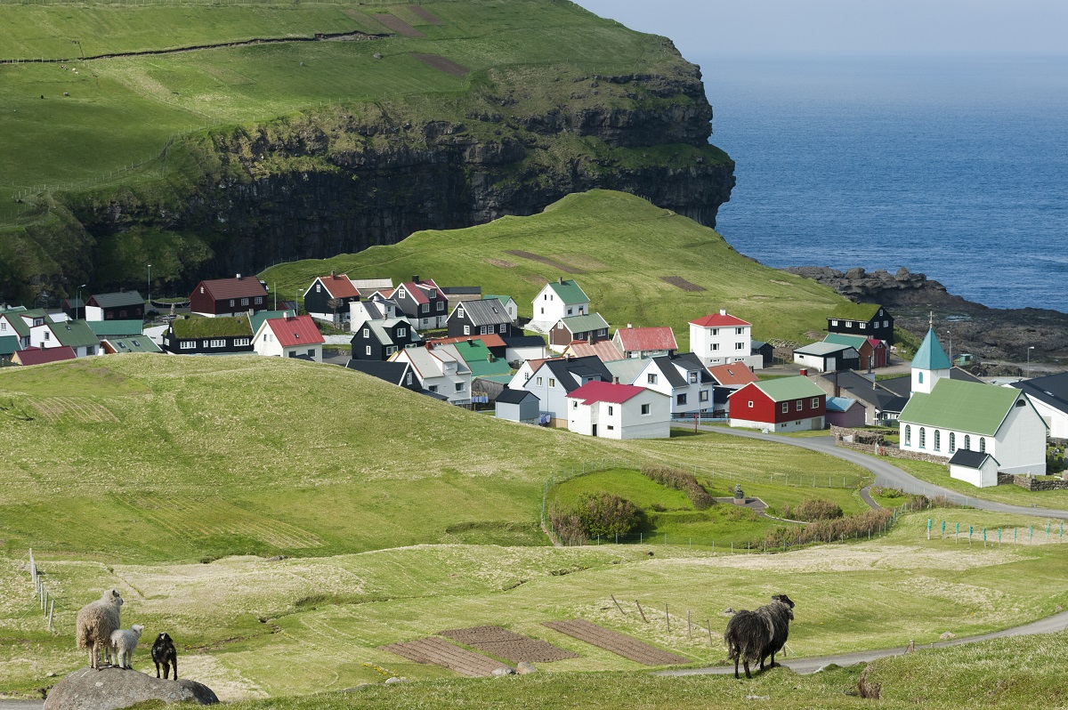 Schapen kijken uit op de gekleurde huisjes van het dorpje Gjogv op de Faroer eilanden.