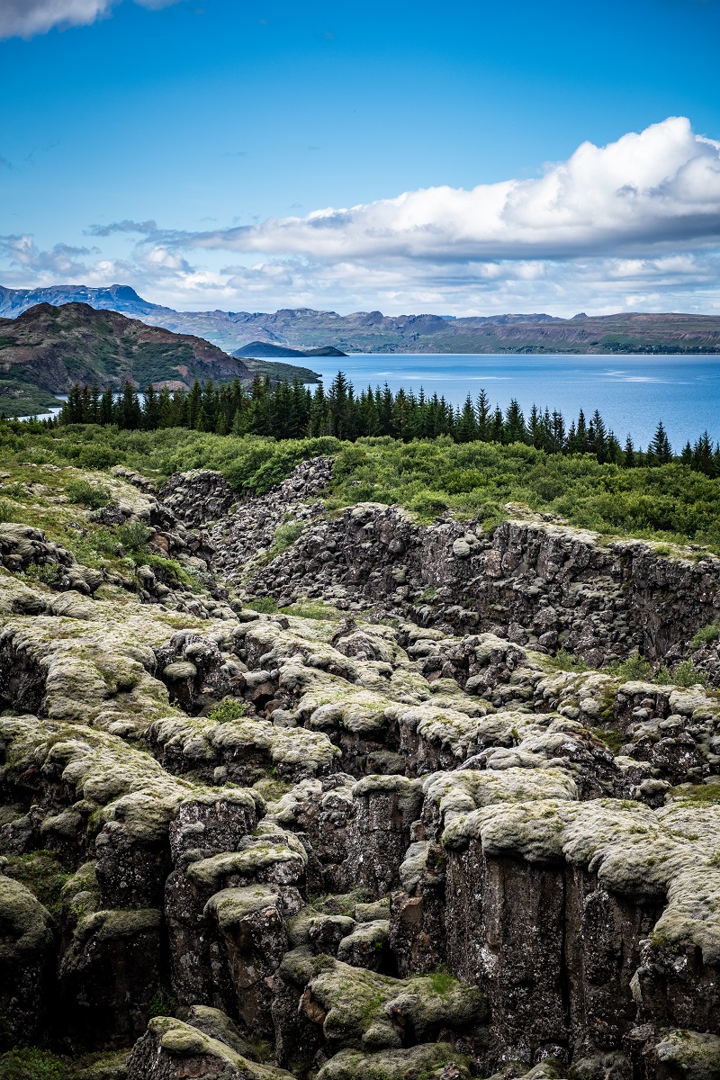 Prachtige lava-formaties bedekt met IJslands mos met op de achtergrond het meer Thingvallavatn.