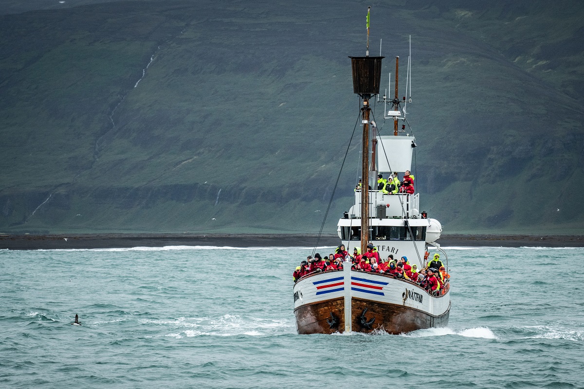 Een boot met walvis spotters tijdens een walvistour op IJsland.