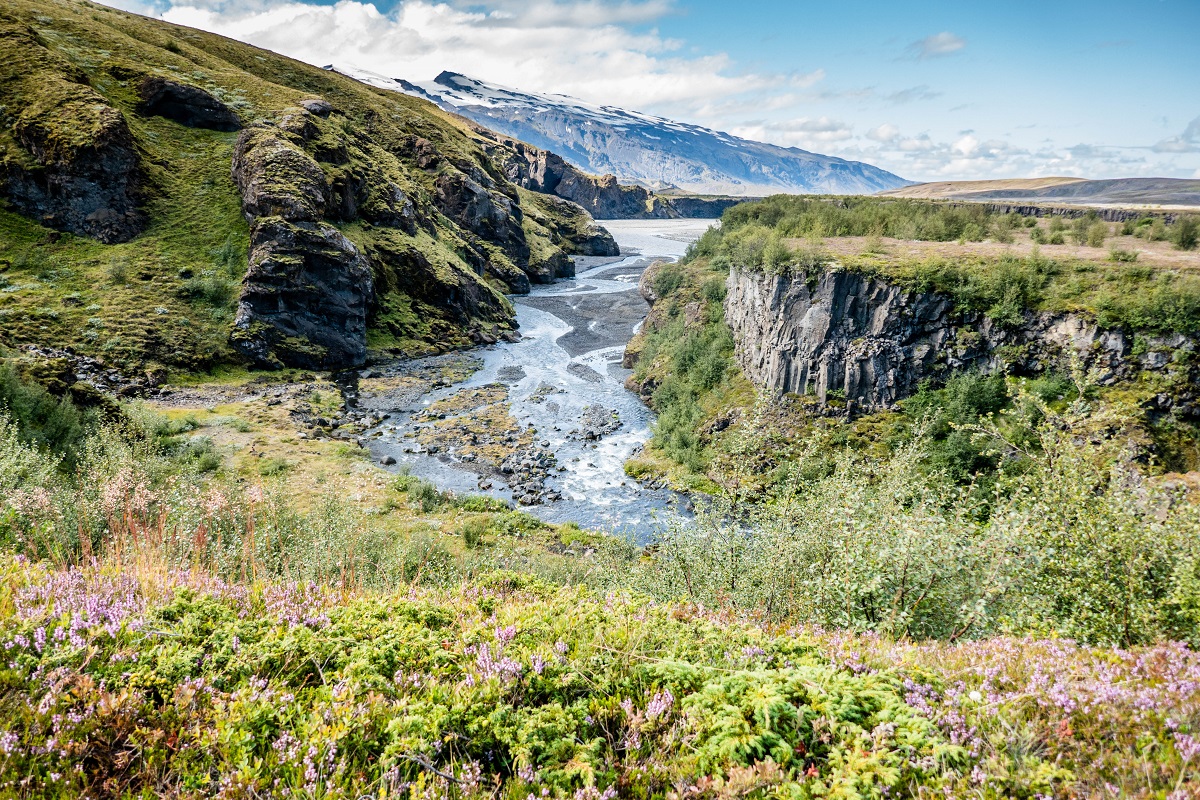 De rivier stroomt door een mooi groen landschap, bij Thorsmörk, met mos en struiken.