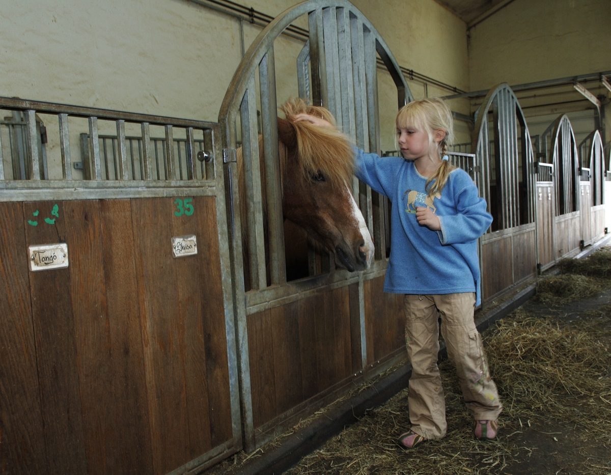 Een meisje met blauwe trui aait het bruine paard in de stal.