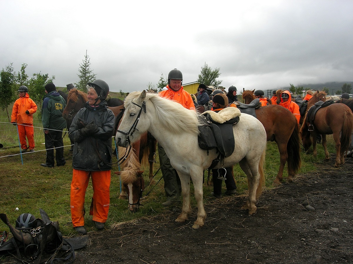 Reizigers staan klaar in regenkleding om te gaan paardrijden tijdens een excursie op IJsland.