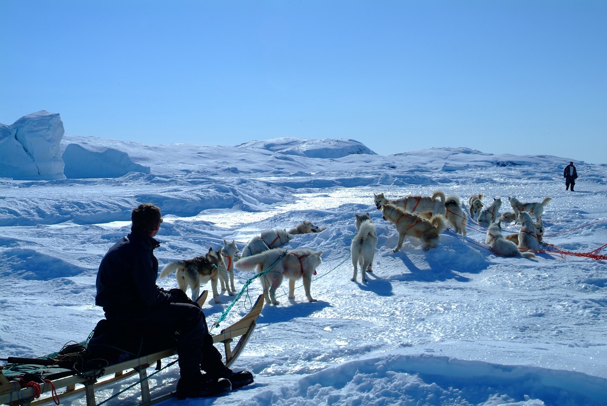 Deze reiziger rust uit op een hondenslee, terwijl de honden zitten en liggen voor de slee, op de gletsjer in west Groenland.
