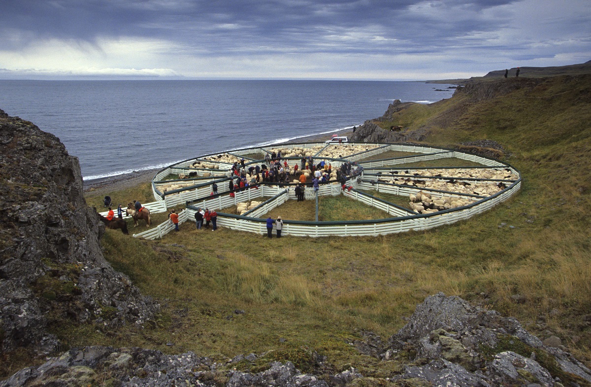 Schapenkraal met schitterende ligging aan de kust.