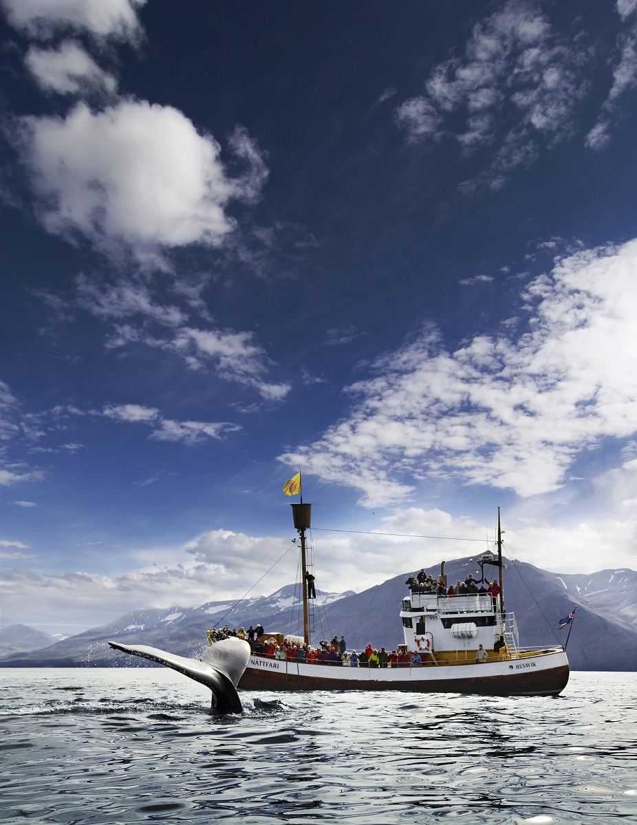 De staart van een bultrug walvis  uit het water met vissersboot met toeristen op de achtergrond.