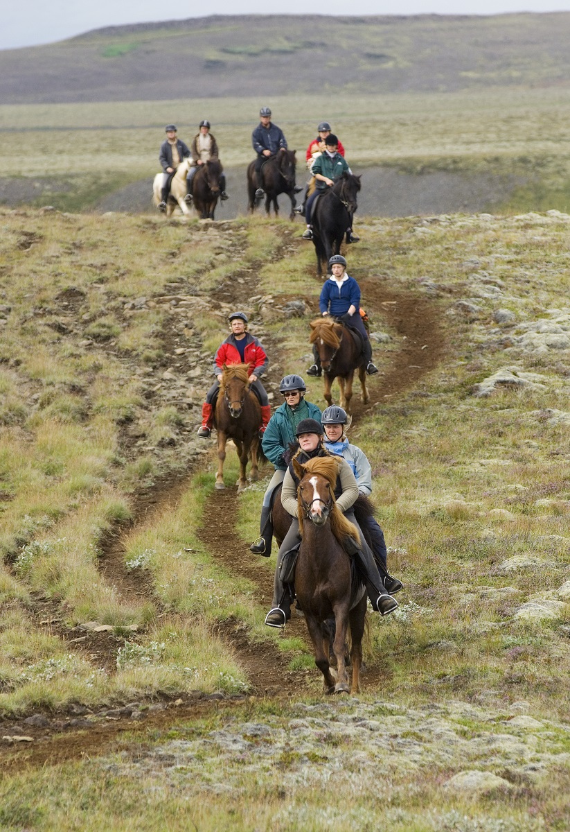 Paardrijden met een groep door de weilanden tijdens een paardrijtour op Reykjanes in IJsland.