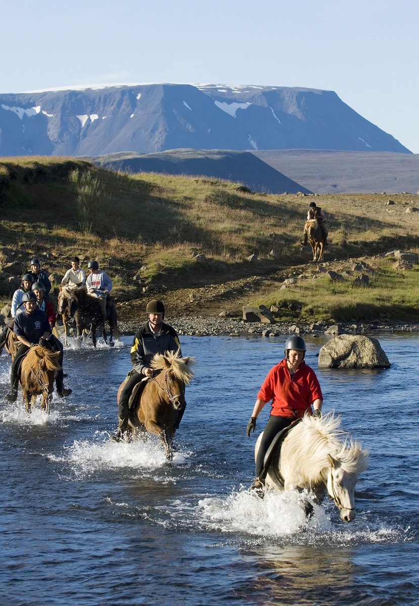 Een groepje paarden steekt de rivier over bij Kjolur, de hooglanden van IJsland, in een mooi landschap.