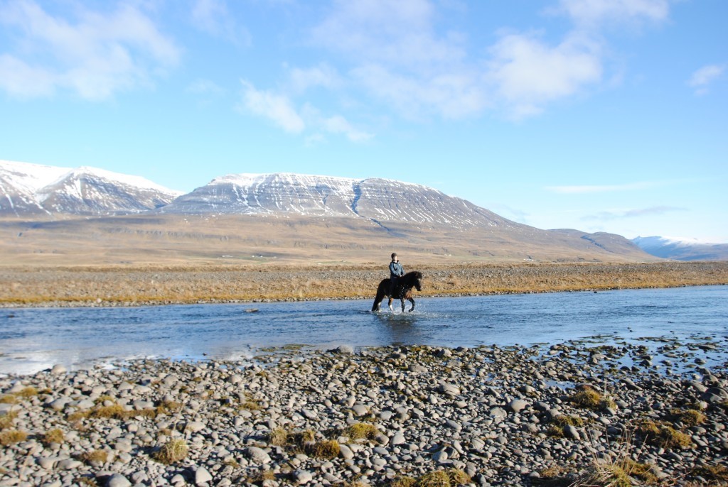 Een zwart paard met ruiter loopt door de rivier met besneeuwde bergen op de achtergrond.