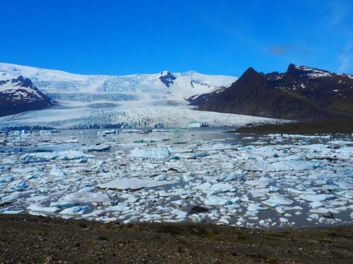 Vele ijsbergen drijven rond in het kleine ijsbergenmeer Fjallsarlon, het kleine zusje van Jokulsarlon.