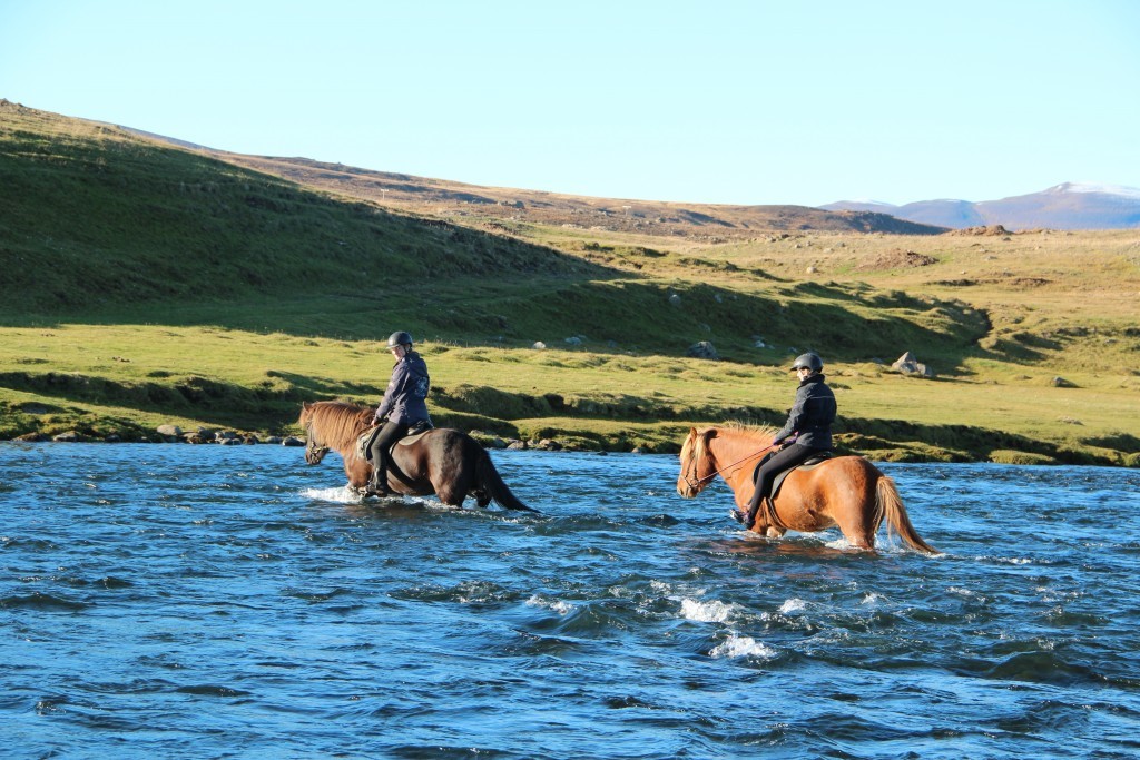 Twee ruiters op bruine paarden lopen door de rivier naar het groene gras.