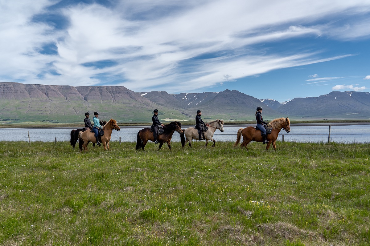 Vijf ruiters te paard rijden langs een meer met bergen op de achtergrond.