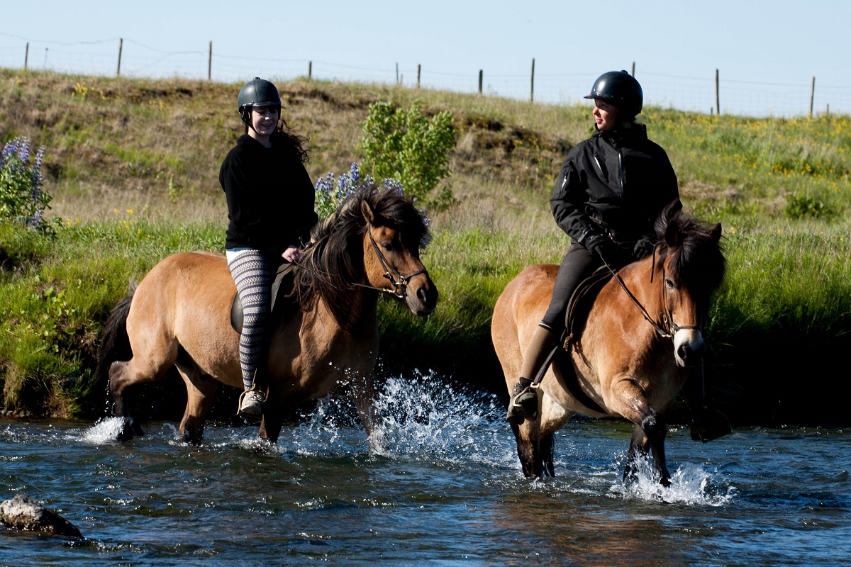 Reizigers rijden door een rivier tijdens een paardrijtour in zuid IJsland.