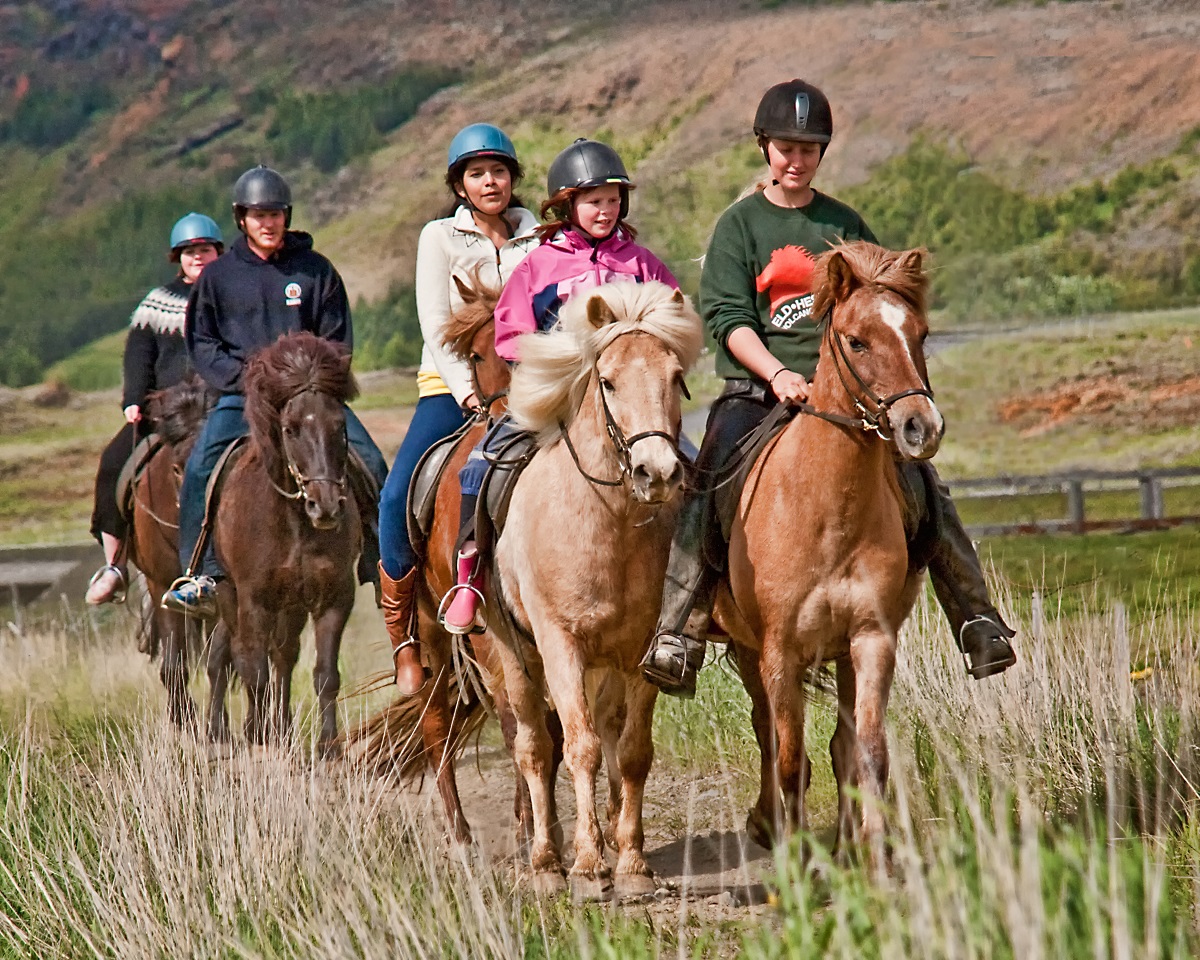 Een familie maakt een paardrijtour in zuid IJsland.