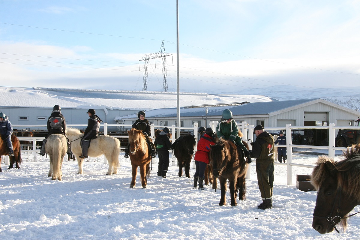 Reizigers tijdens een winterse paardrijtour in zuid IJsland