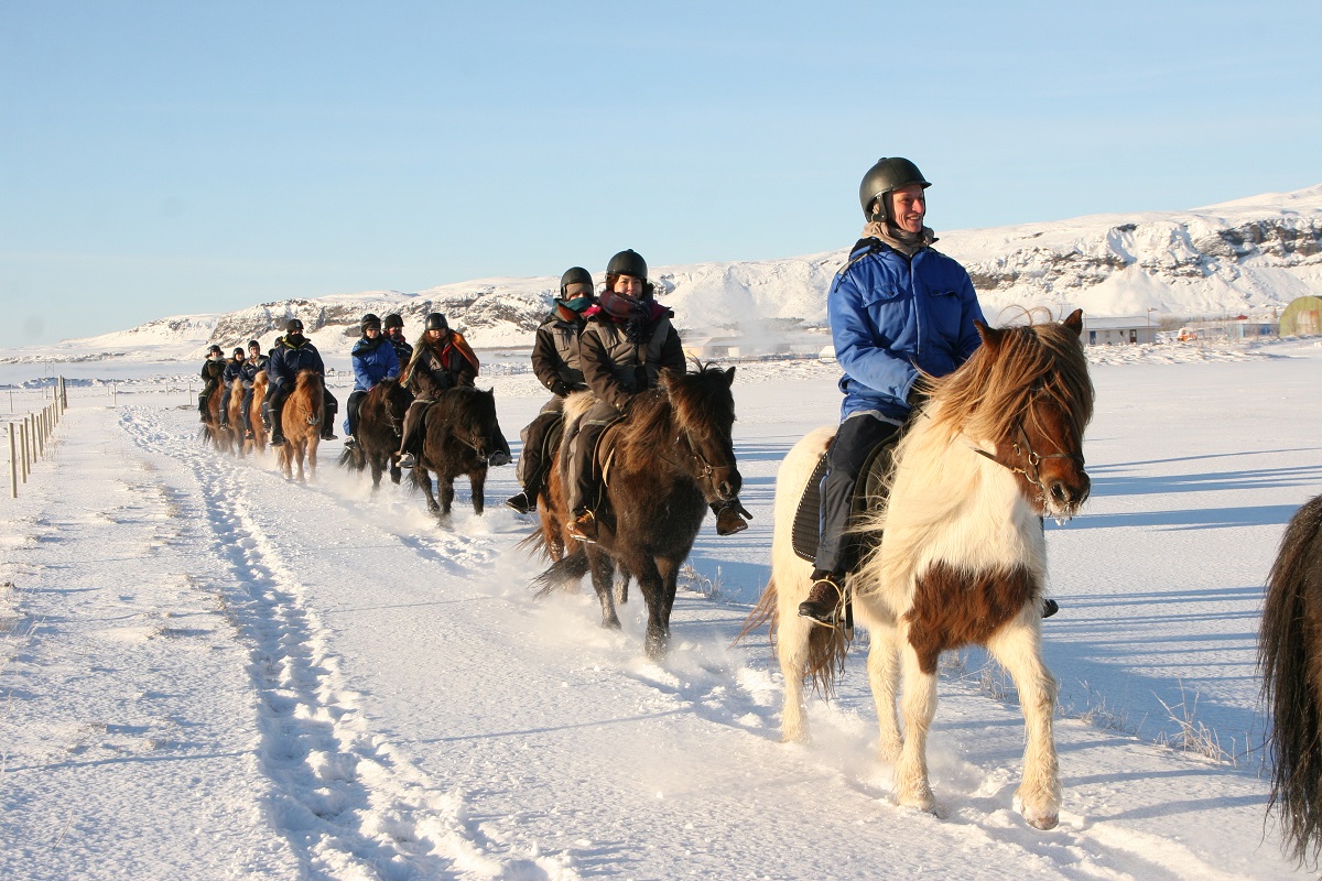 Reizigers tijdens een paardrijtour in zuid IJsland.