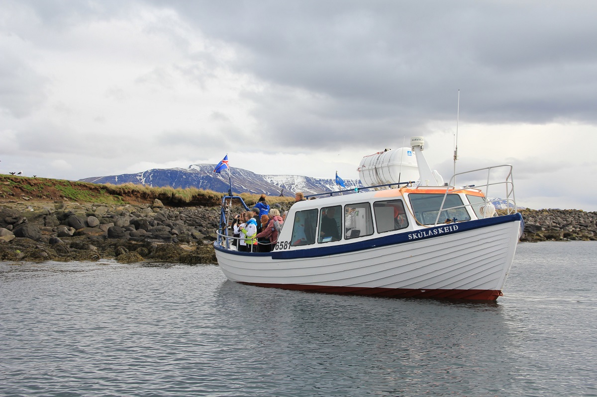 Reizigers op een boot kijkend naar de papegaaiduikers.